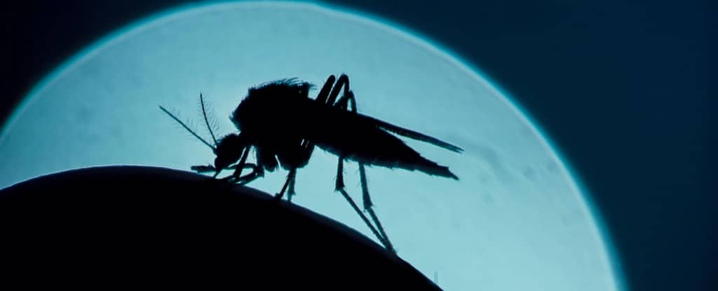 Defrag.mx Podcast ByteTrax - Tecnología y Ciencia - Mosquitos